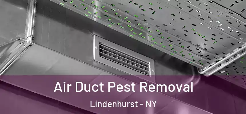  Air Duct Pest Removal Lindenhurst - NY