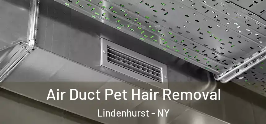  Air Duct Pet Hair Removal Lindenhurst - NY