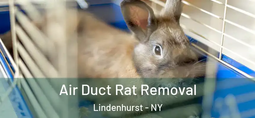  Air Duct Rat Removal Lindenhurst - NY