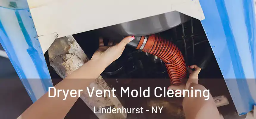  Dryer Vent Mold Cleaning Lindenhurst - NY