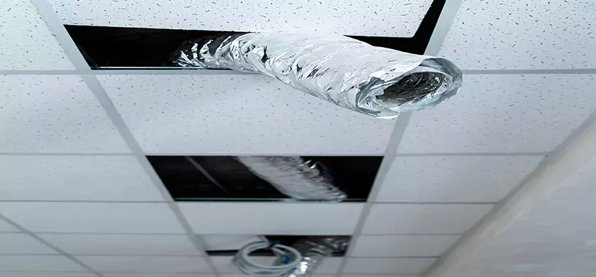 Our Air Duct Pet Hair Removal Services in Lindenhurst, NY