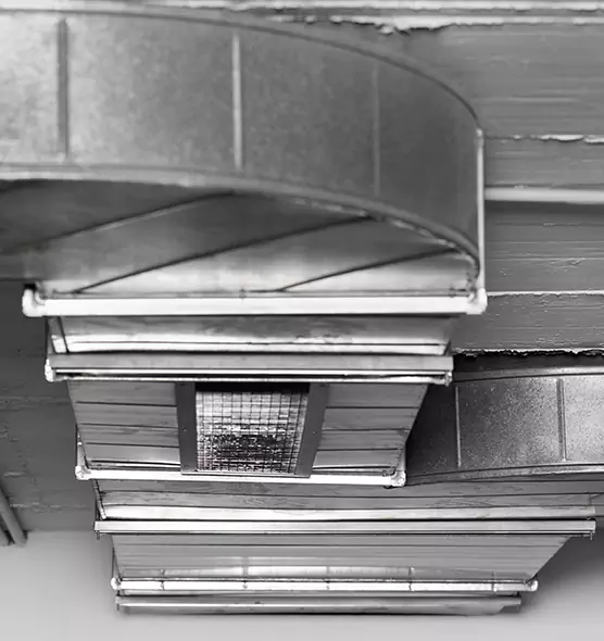 Professional Air Duct Pest Removal in Lindenhurst, NY