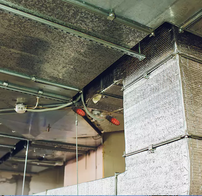 Why Homeowners & Businesses Trust Us in Lindenhurst, NY?